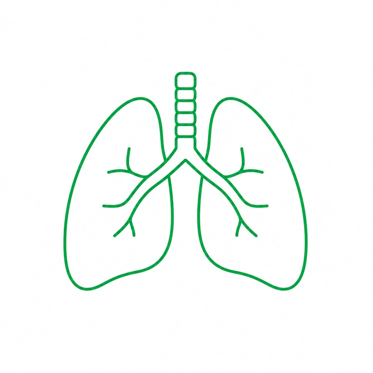 PRI (Postural Restoration Institute)