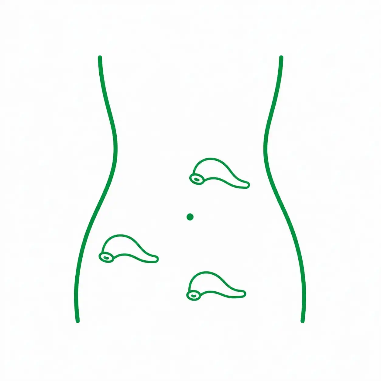 Hirudoterapia